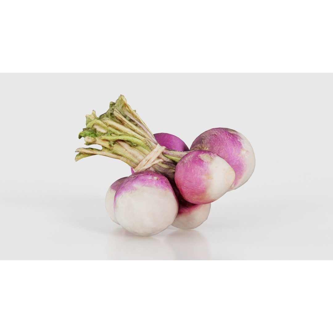 Rapen 3D Model – Low Poly Vegetable Asset, PBR Textures, FBX - View 26