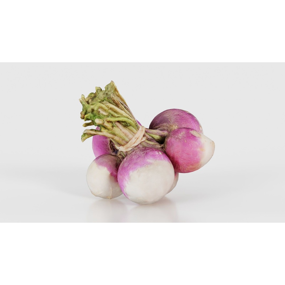 Rapen 3D Model – Low Poly Vegetable Asset, PBR Textures, FBX - View 27