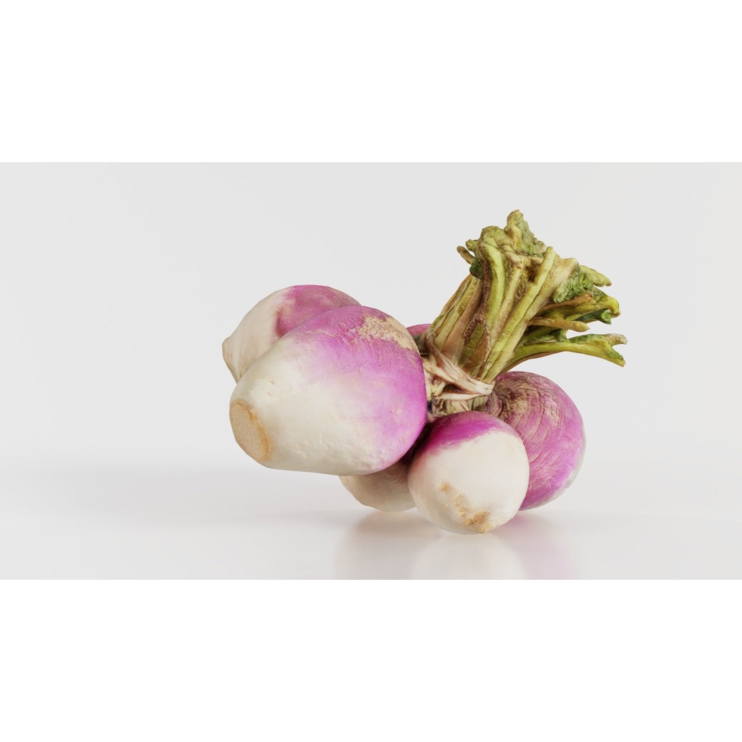 Rapen 3D Model – Low Poly Vegetable Asset, PBR Textures, FBX - View 3