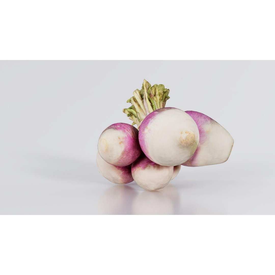 Rapen 3D Model – Low Poly Vegetable Asset, PBR Textures, FBX - View 4