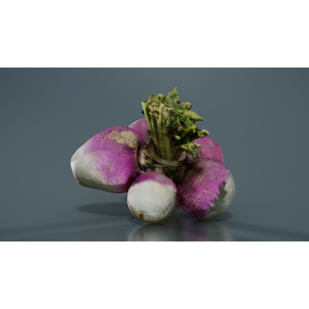 Rapen 3D Model – Low Poly Vegetable Asset, PBR Textures, FBX - View 5