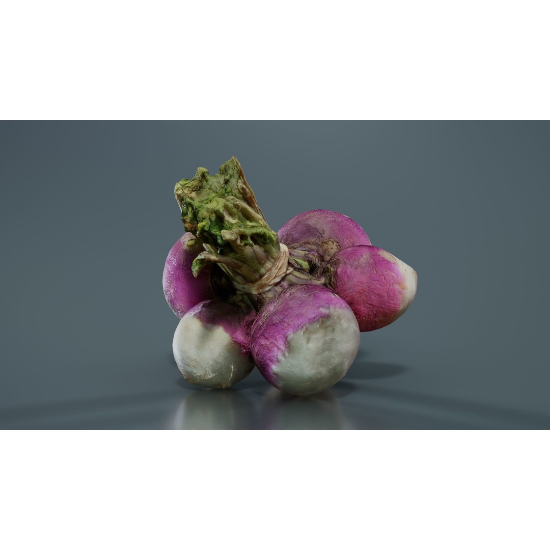 Rapen 3D Model – Low Poly Vegetable Asset, PBR Textures, FBX - View 6