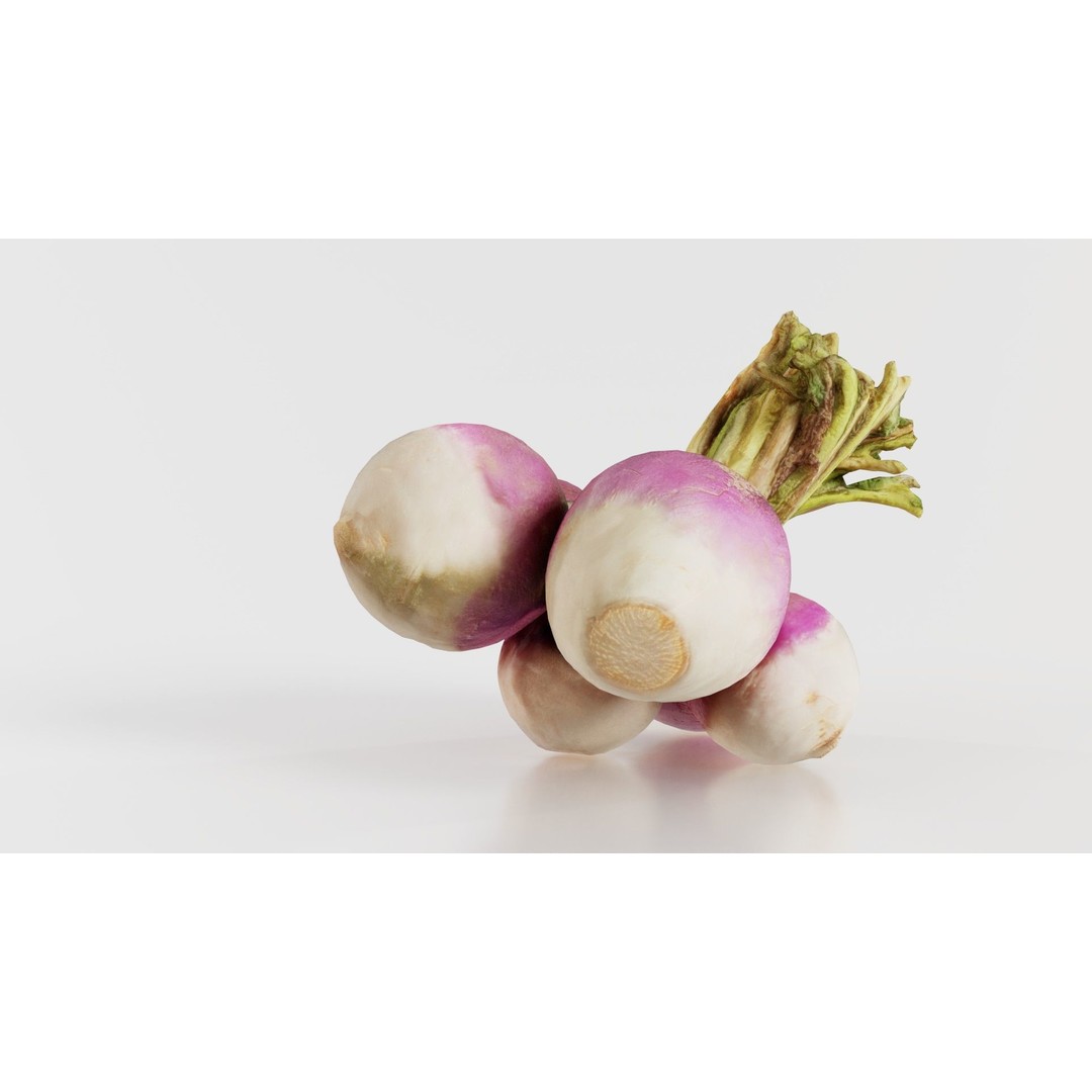 Rapen 3D Model – Low Poly Vegetable Asset, PBR Textures, FBX - View 7