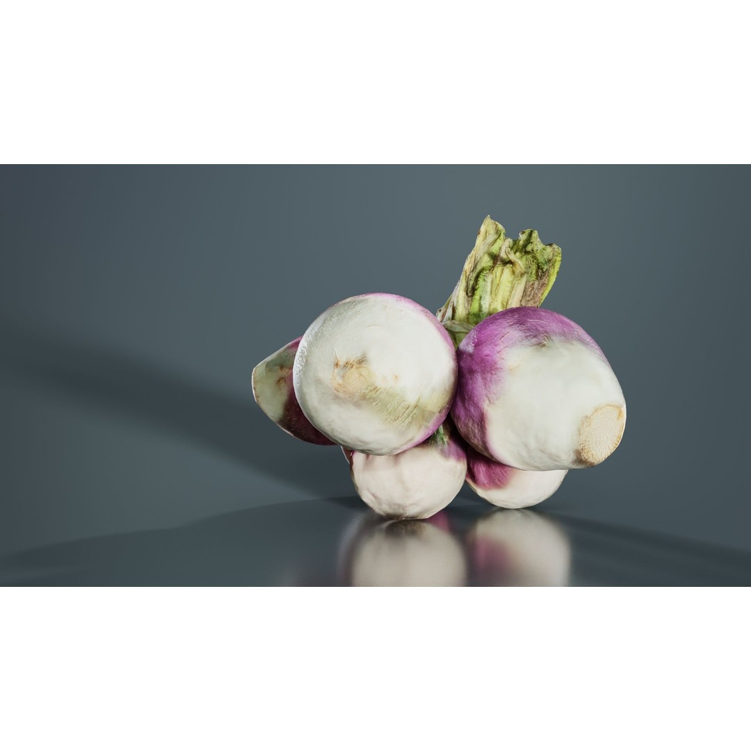 Rapen 3D Model – Low Poly Vegetable Asset, PBR Textures, FBX - View 8