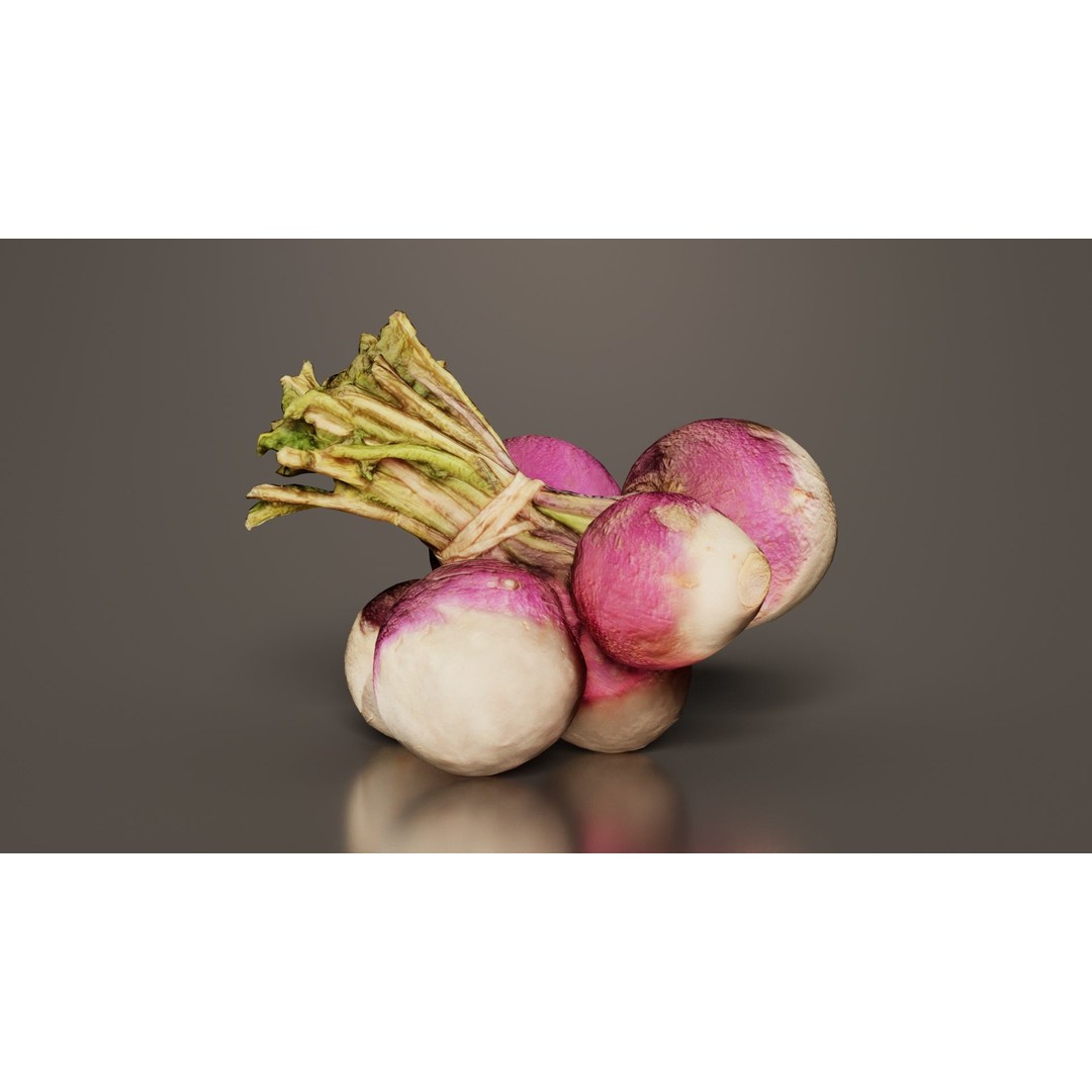 Rapen 3D Model – Low Poly Vegetable Asset, PBR Textures, FBX - View 9