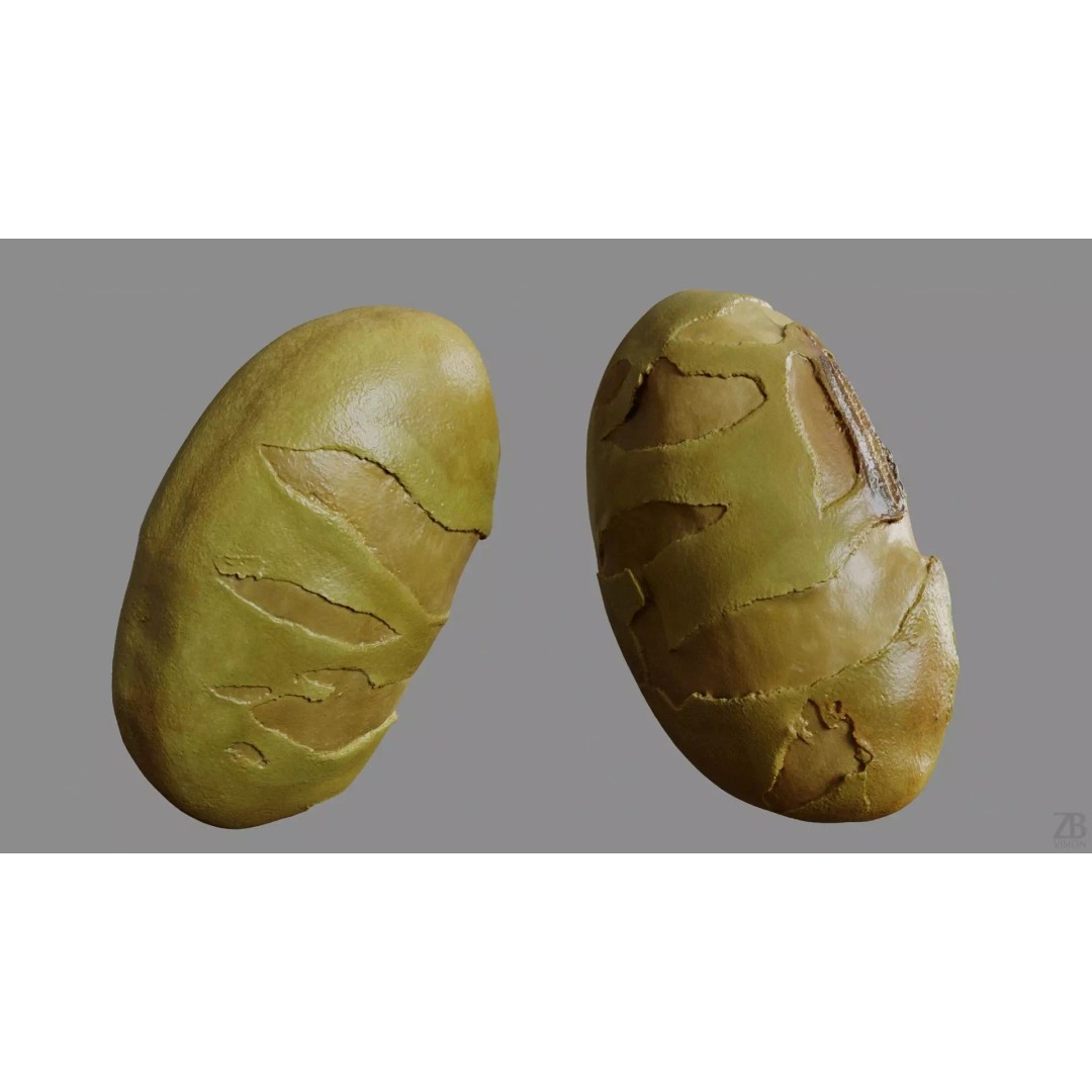 Edamame Bean 3D Model – Photorealistic Vegetable Asset, FBX