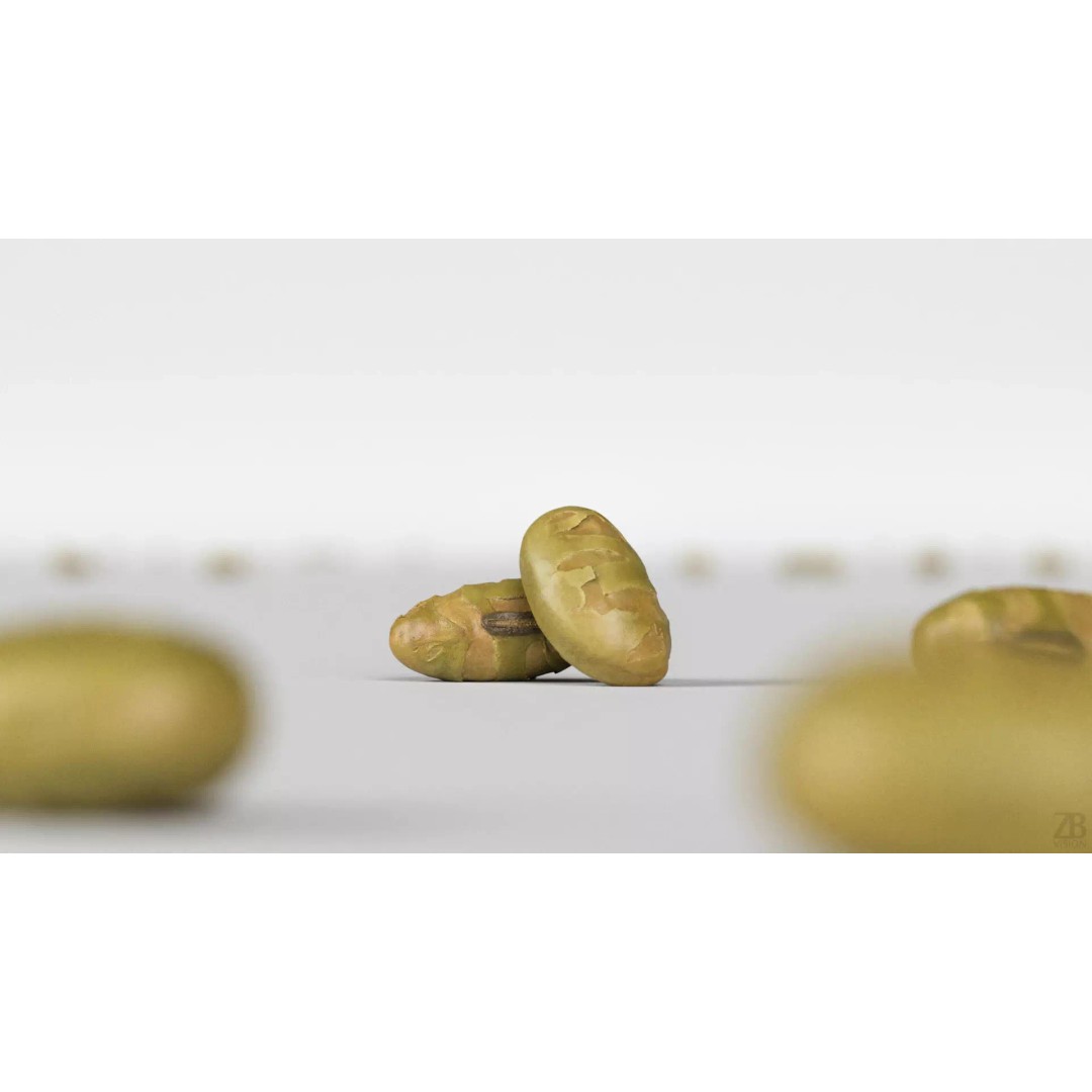 Edamame Bean 3D Model – Photorealistic Vegetable Asset, FBX - View 3
