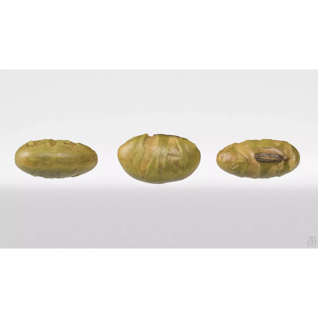 Edamame Bean 3D Model – Photorealistic Vegetable Asset, FBX - View 6
