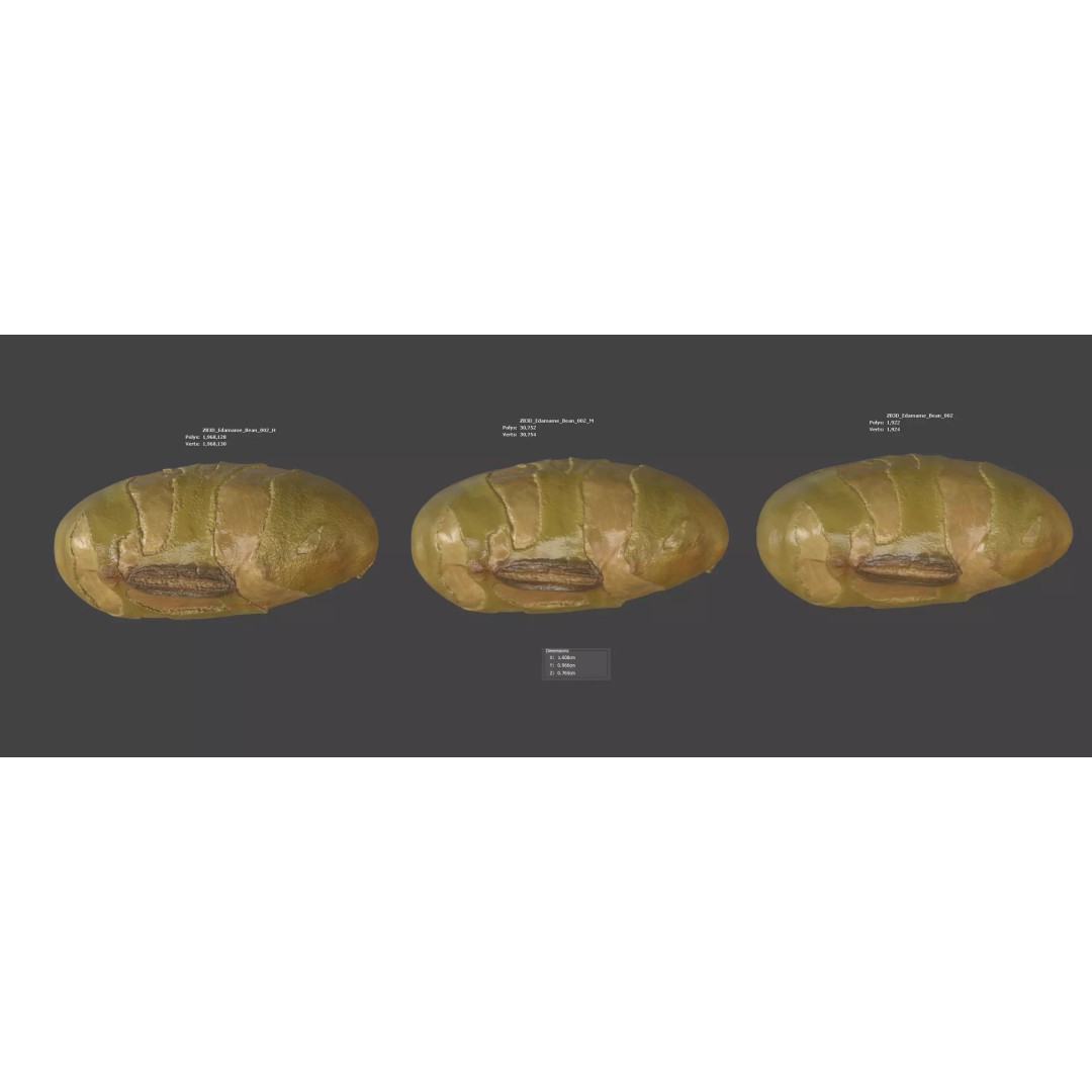 Edamame Bean 3D Model – Photorealistic Vegetable Asset, FBX - View 7