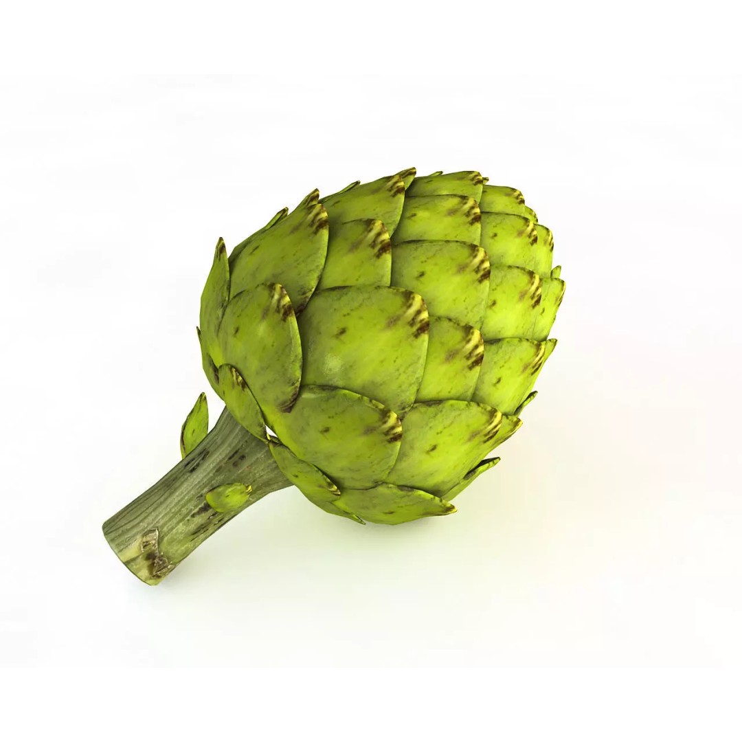 Vegetables 3D Model Collection – Low Poly Game Asset, FBX, Blender