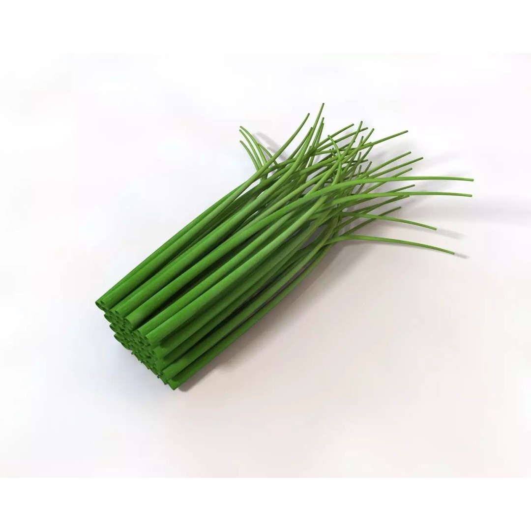 Vegetables 3D Model Collection – Low Poly Game Asset, FBX, Blender - View 12