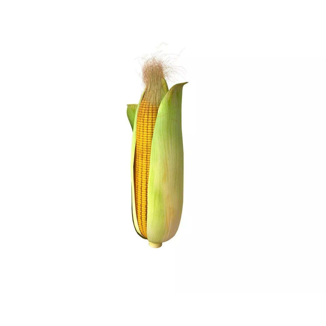 Vegetables 3D Model Collection – Low Poly Game Asset, FBX, Blender - View 17