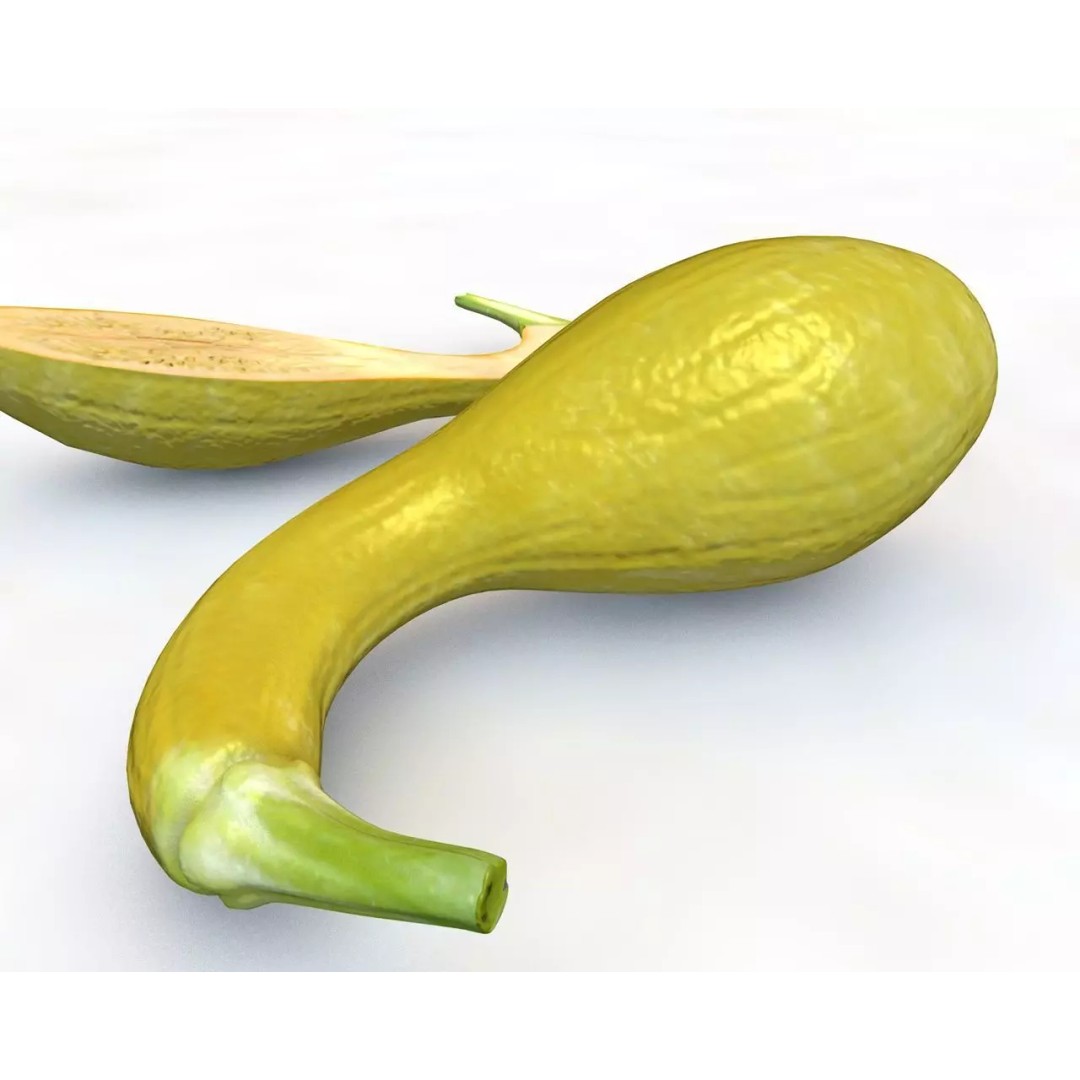 Vegetables 3D Model Collection – Low Poly Game Asset, FBX, Blender - View 18