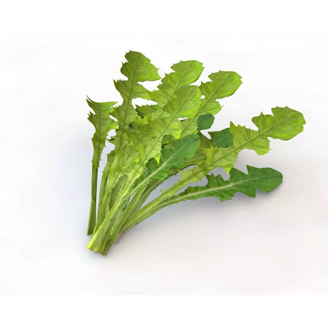 Vegetables 3D Model Collection – Low Poly Game Asset, FBX, Blender - View 20