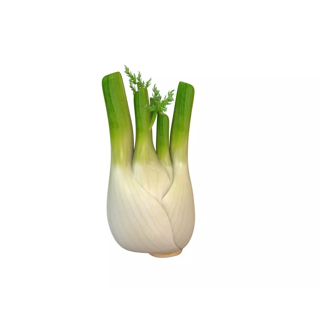 Vegetables 3D Model Collection – Low Poly Game Asset, FBX, Blender - View 23