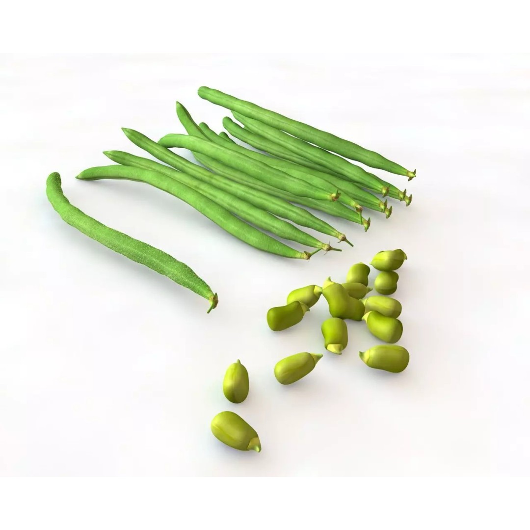 Vegetables 3D Model Collection – Low Poly Game Asset, FBX, Blender - View 24