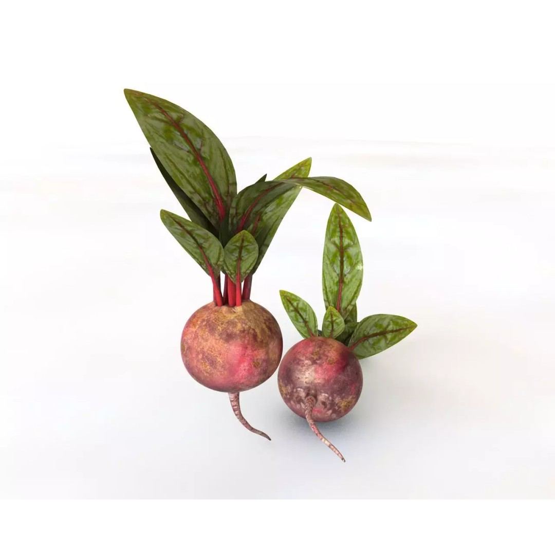 Vegetables 3D Model Collection – Low Poly Game Asset, FBX, Blender - View 25