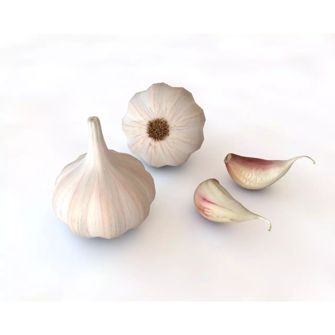 Vegetables 3D Model Collection – Low Poly Game Asset, FBX, Blender - View 26