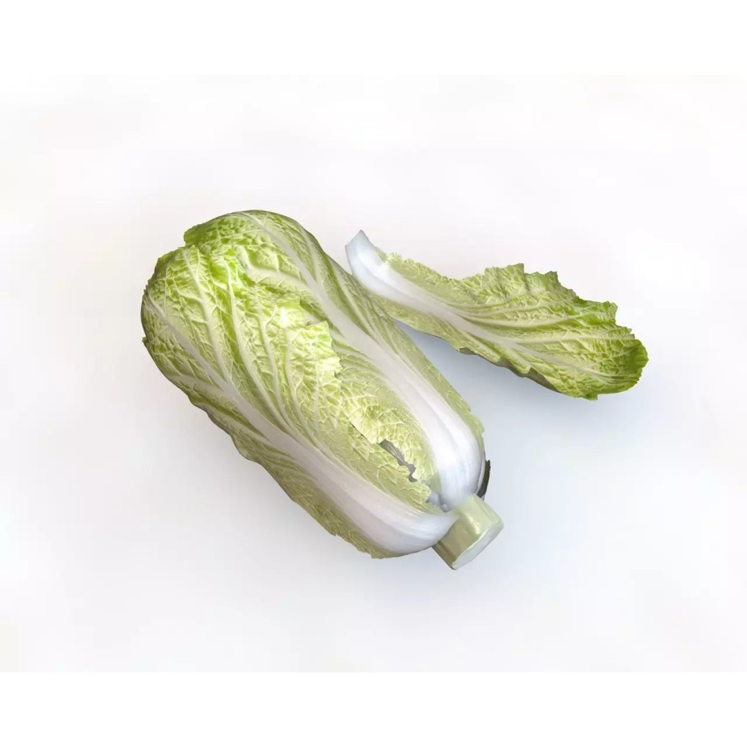 Vegetables 3D Model Collection – Low Poly Game Asset, FBX, Blender - View 32