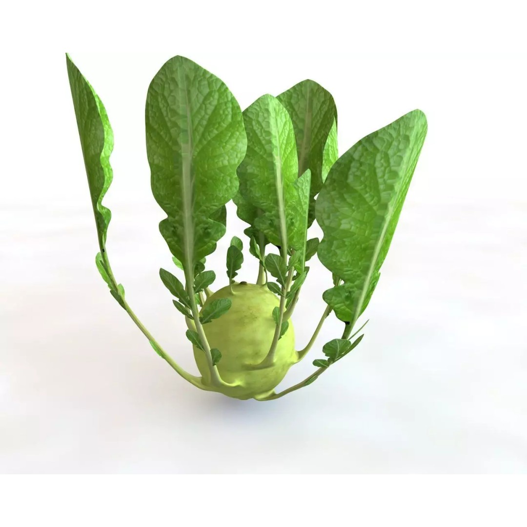 Vegetables 3D Model Collection – Low Poly Game Asset, FBX, Blender - View 33