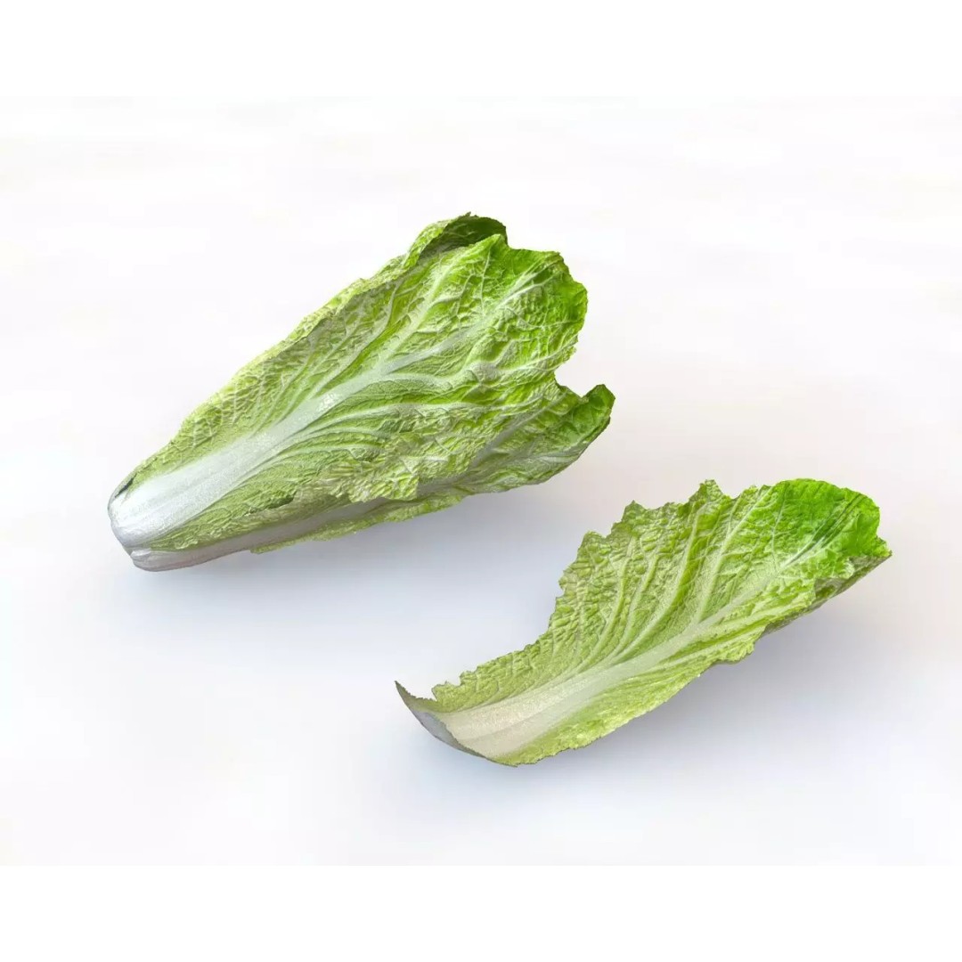 Vegetables 3D Model Collection – Low Poly Game Asset, FBX, Blender - View 35