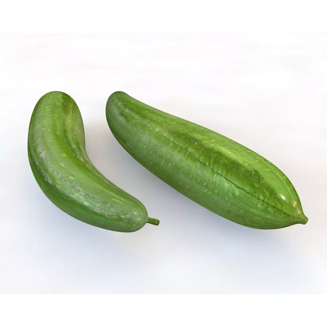 Vegetables 3D Model Collection – Low Poly Game Asset, FBX, Blender - View 38