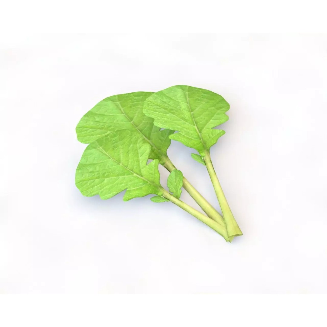 Vegetables 3D Model Collection – Low Poly Game Asset, FBX, Blender - View 45
