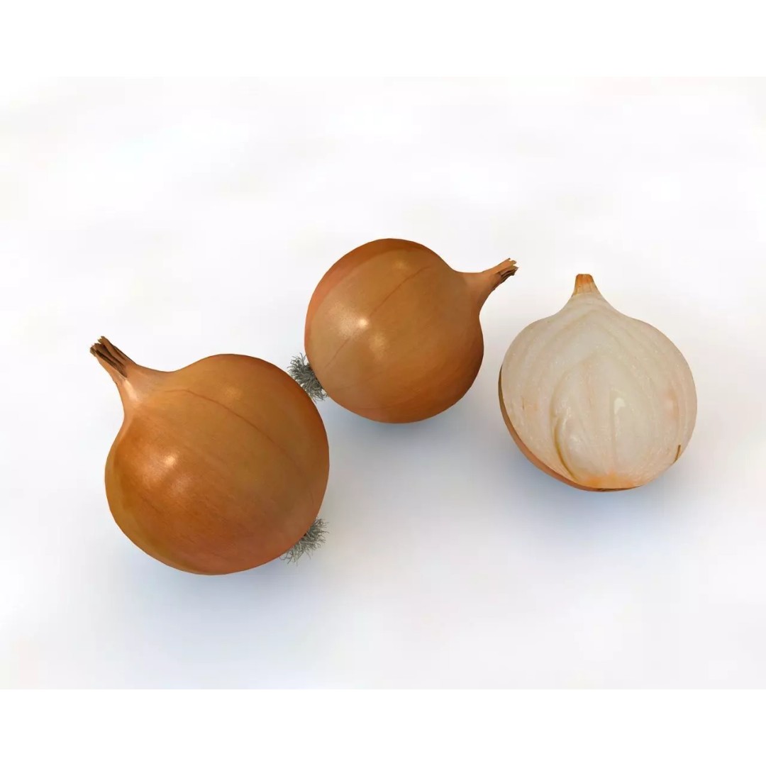Vegetables 3D Model Collection – Low Poly Game Asset, FBX, Blender - View 49