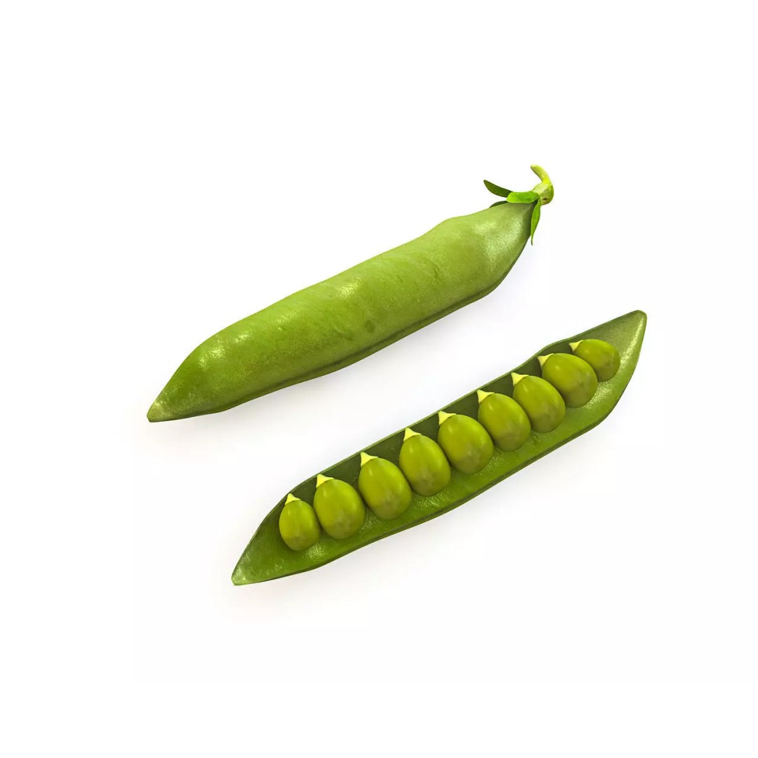 Vegetables 3D Model Collection – Low Poly Game Asset, FBX, Blender - View 52