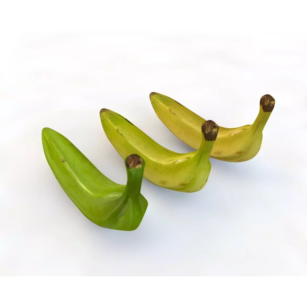 Vegetables 3D Model Collection – Low Poly Game Asset, FBX, Blender - View 53