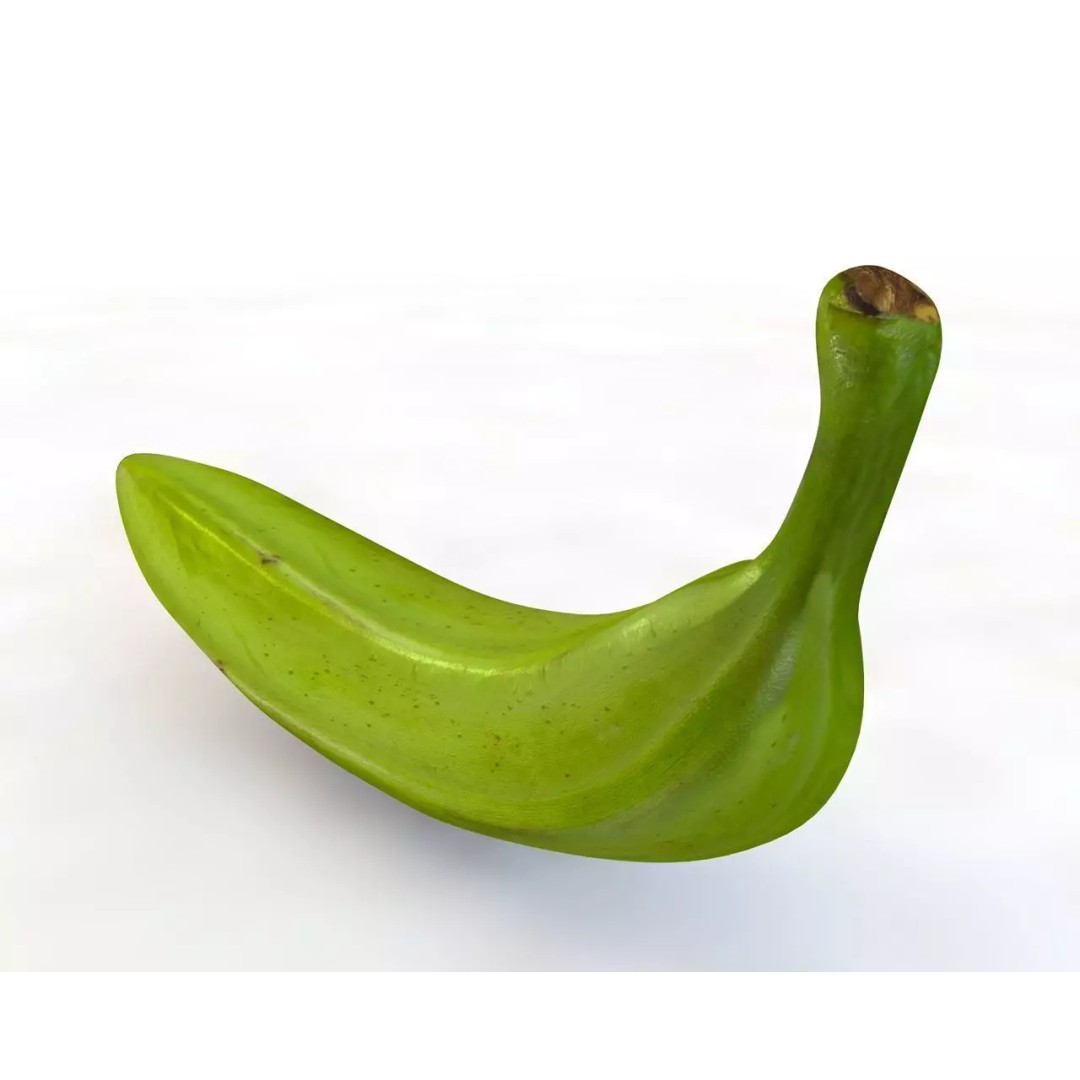 Vegetables 3D Model Collection – Low Poly Game Asset, FBX, Blender - View 54