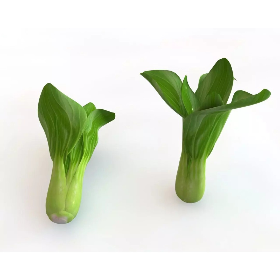 Vegetables 3D Model Collection – Low Poly Game Asset, FBX, Blender - View 58