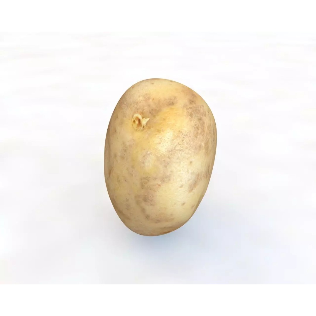 Vegetables 3D Model Collection – Low Poly Game Asset, FBX, Blender - View 59