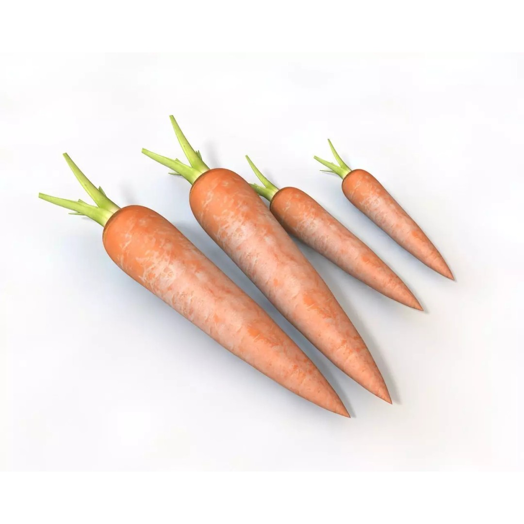 Vegetables 3D Model Collection – Low Poly Game Asset, FBX, Blender - View 6