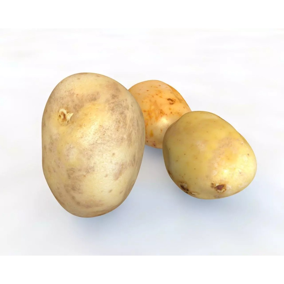 Vegetables 3D Model Collection – Low Poly Game Asset, FBX, Blender - View 61