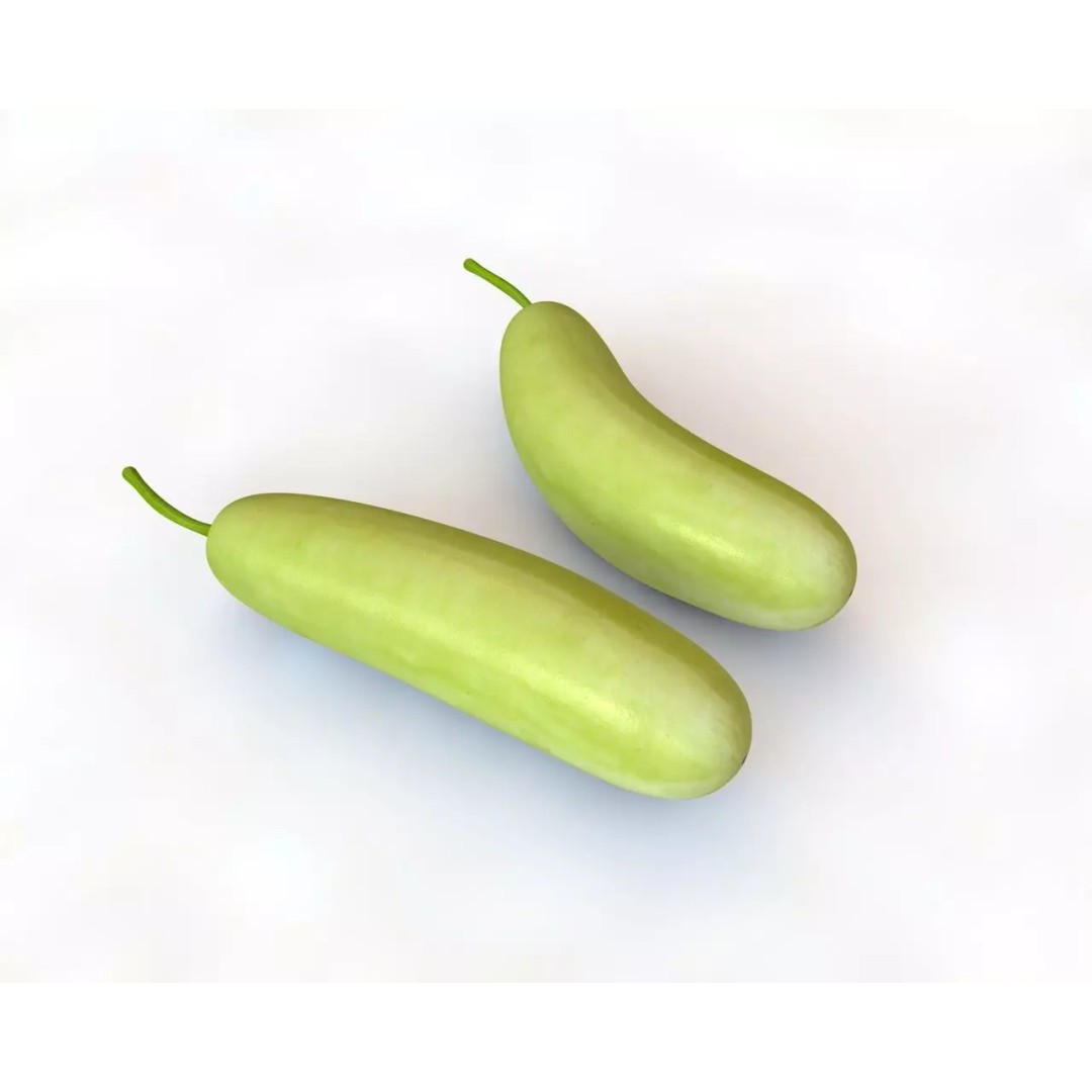 Vegetables 3D Model Collection – Low Poly Game Asset, FBX, Blender - View 69