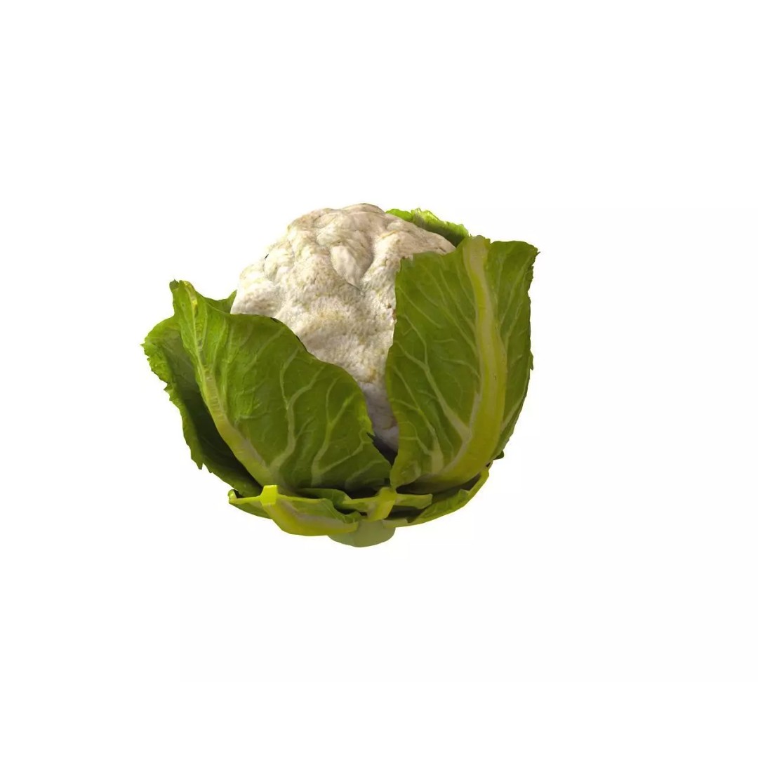 Vegetables 3D Model Collection – Low Poly Game Asset, FBX, Blender - View 7