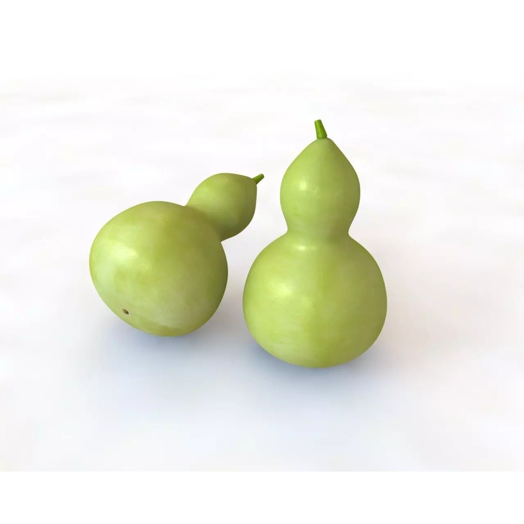 Vegetables 3D Model Collection – Low Poly Game Asset, FBX, Blender - View 73