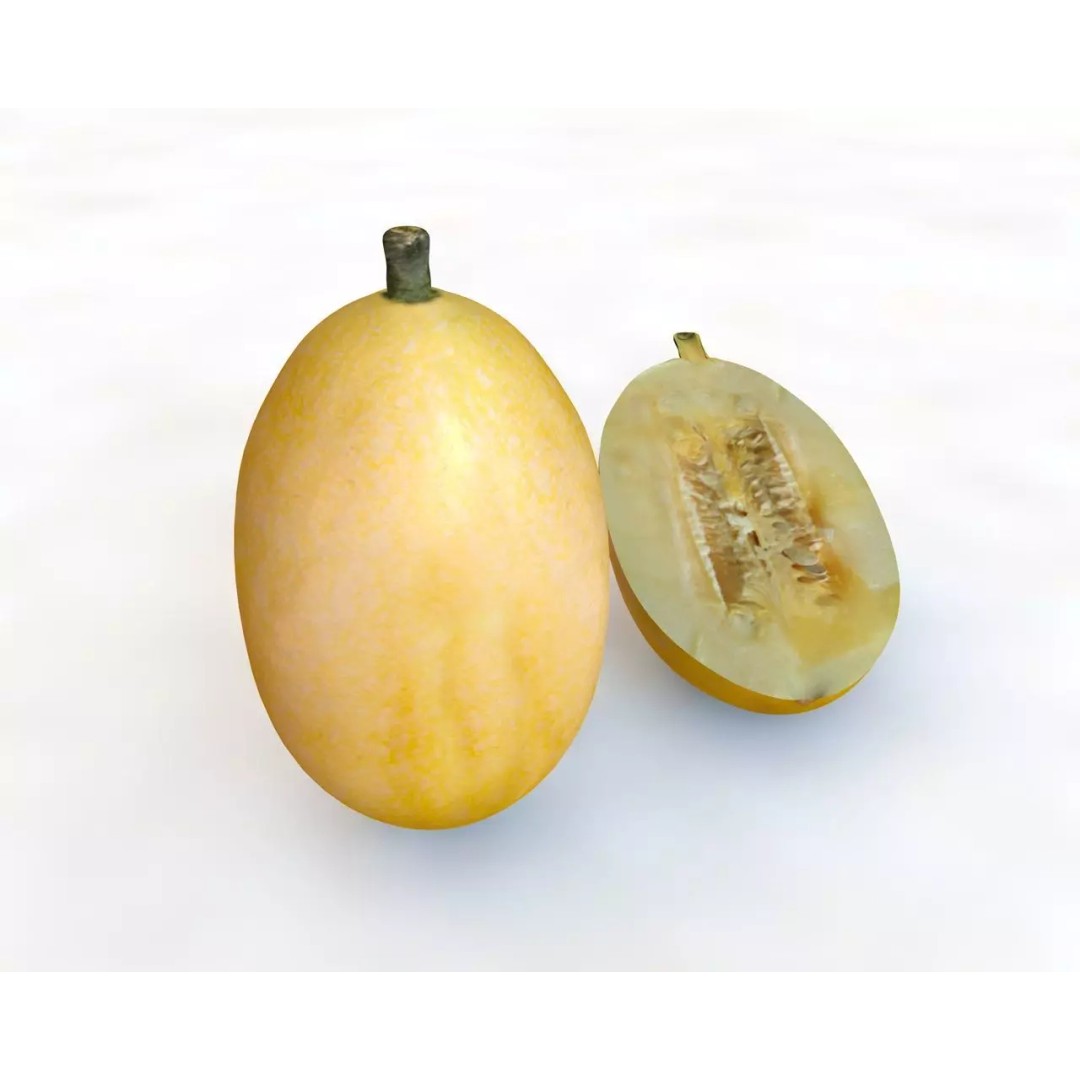 Vegetables 3D Model Collection – Low Poly Game Asset, FBX, Blender - View 74