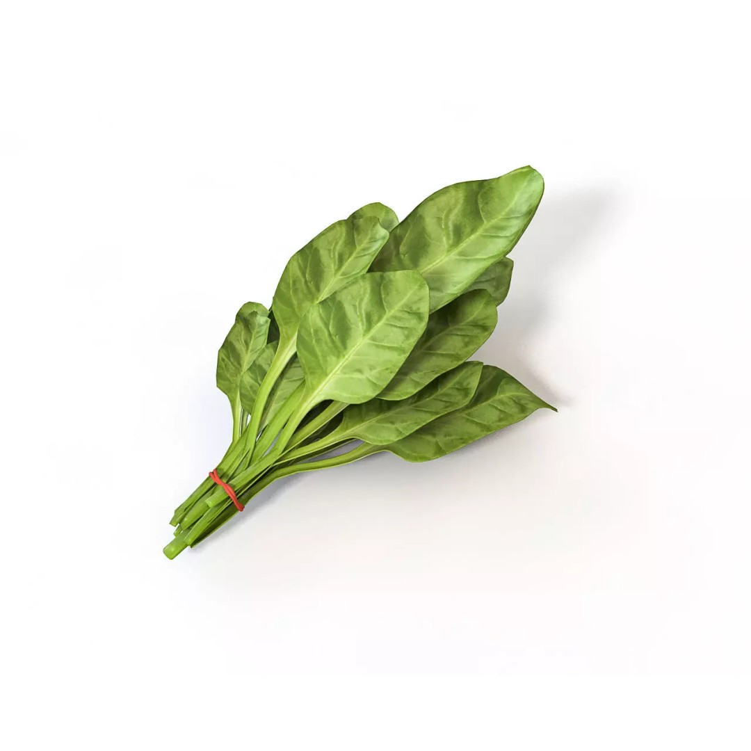 Vegetables 3D Model Collection – Low Poly Game Asset, FBX, Blender - View 75