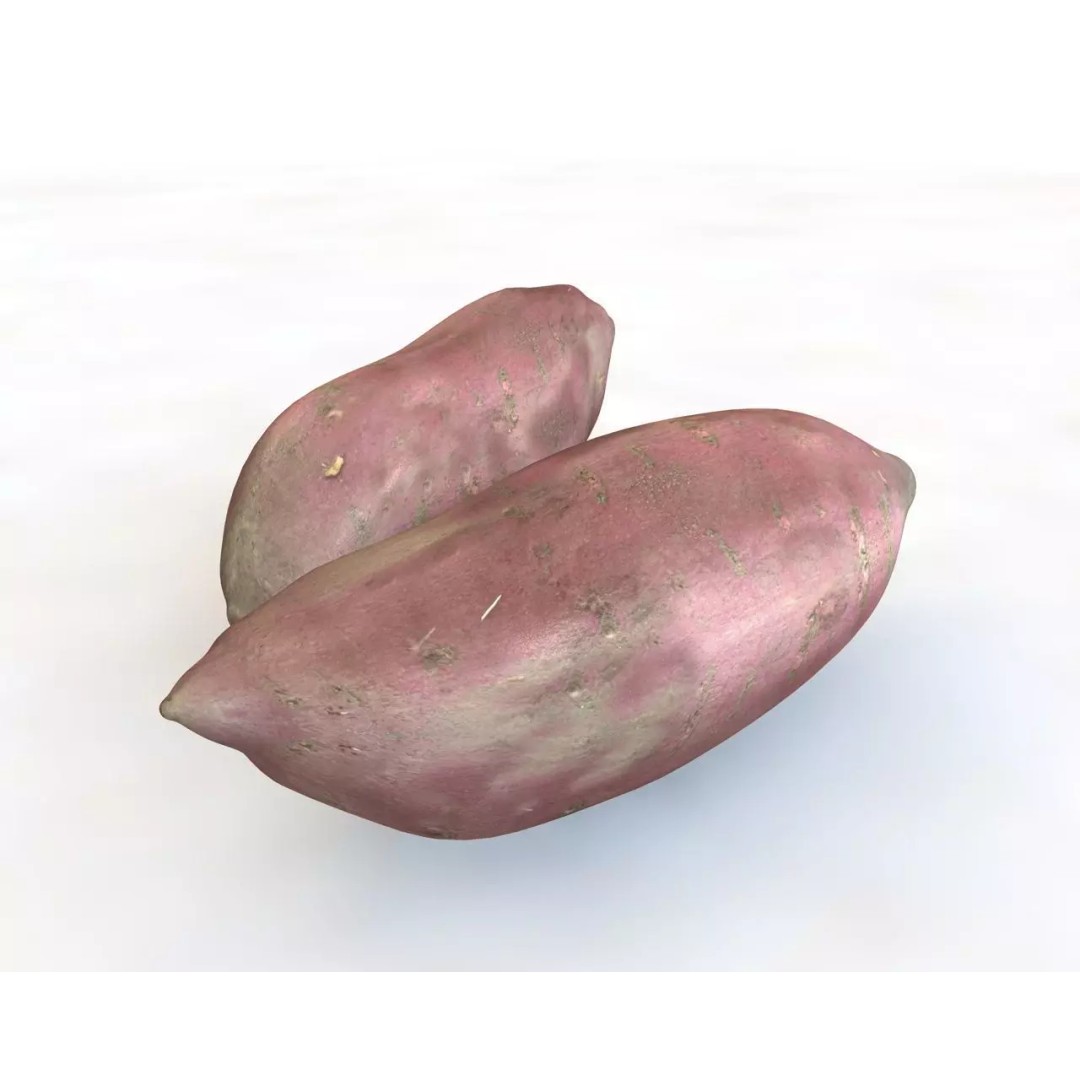 Vegetables 3D Model Collection – Low Poly Game Asset, FBX, Blender - View 78