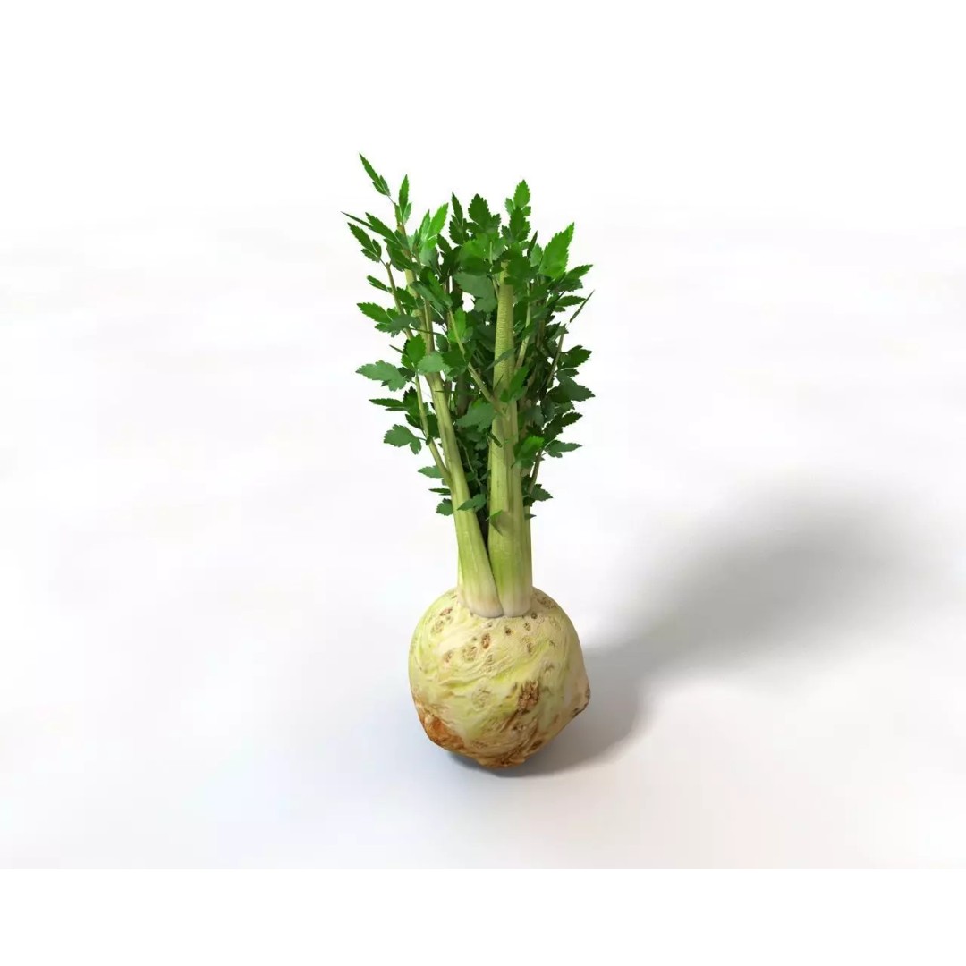 Vegetables 3D Model Collection – Low Poly Game Asset, FBX, Blender - View 8