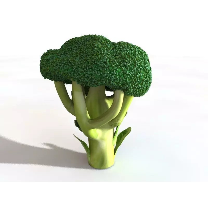 Vegetables 3D Model Collection – Low Poly Game Asset, FBX, Blender - View 80