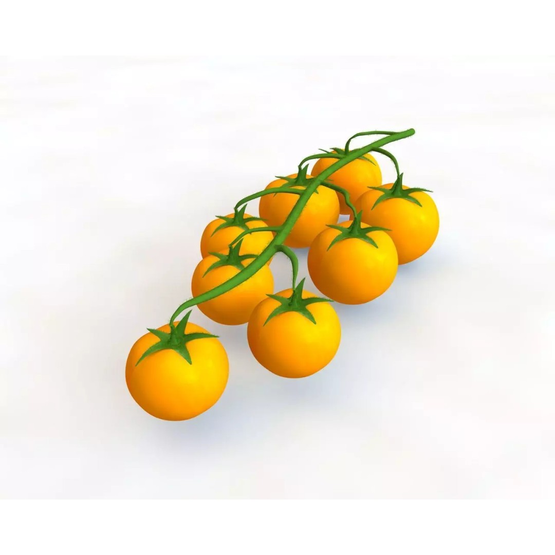 Vegetables 3D Model Collection – Low Poly Game Asset, FBX, Blender - View 81