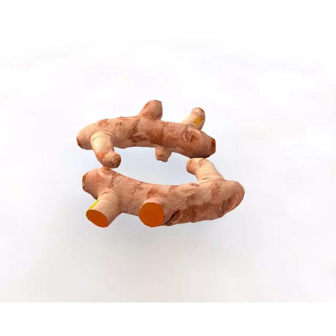 Vegetables 3D Model Collection – Low Poly Game Asset, FBX, Blender - View 82