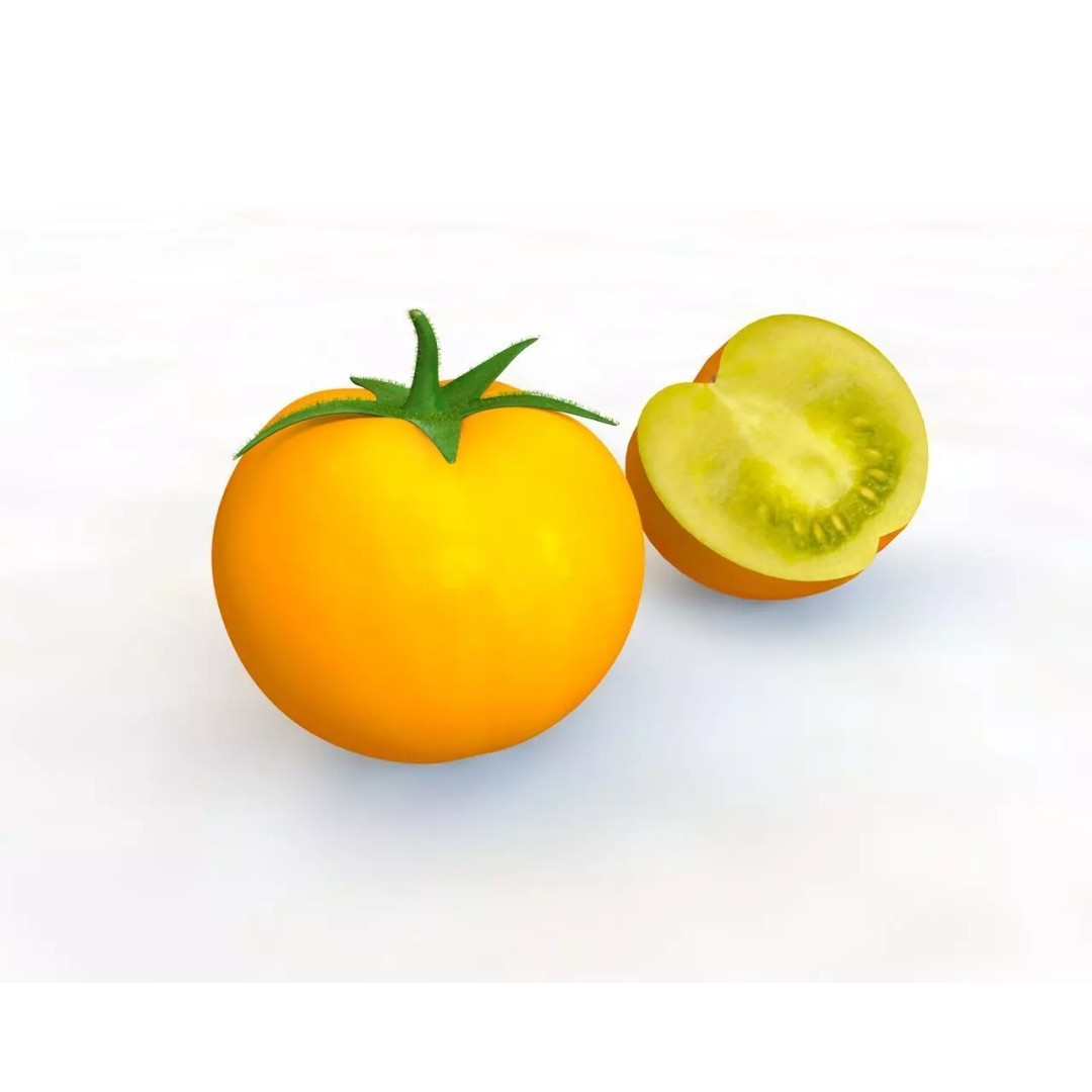 Vegetables 3D Model Collection – Low Poly Game Asset, FBX, Blender - View 84