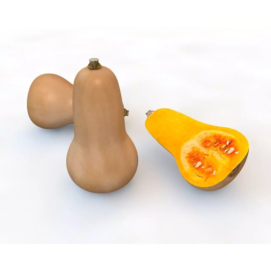 Vegetables 3D Model Collection – Low Poly Game Asset, FBX, Blender - View 87
