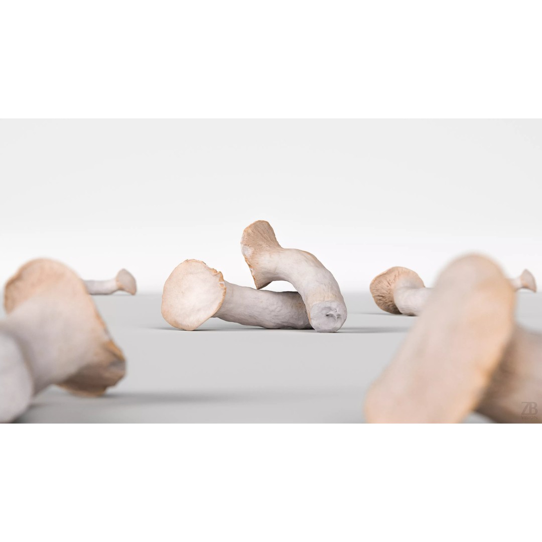 King Trumpet Mushroom 3D Model – Photorealistic PBR Asset, FBX - View 3