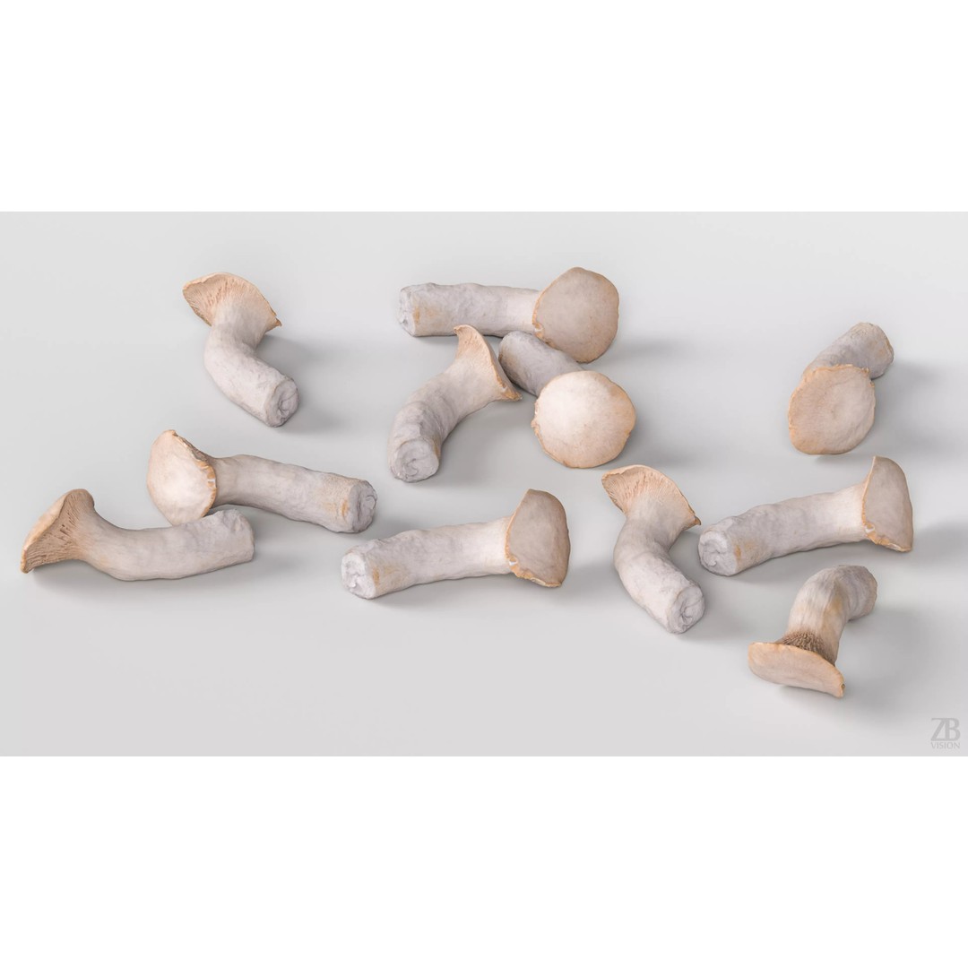 King Trumpet Mushroom 3D Model – Photorealistic PBR Asset, FBX - View 4