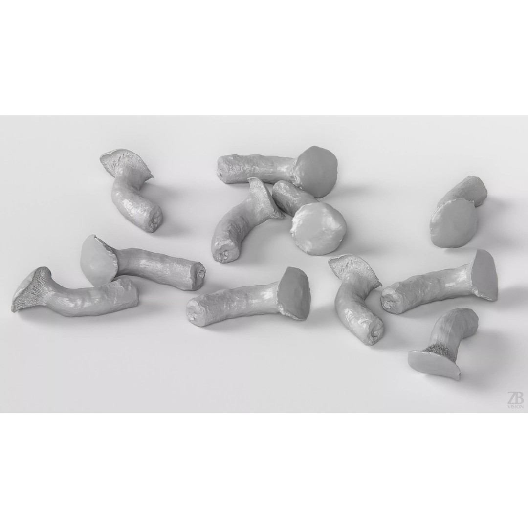 King Trumpet Mushroom 3D Model – Photorealistic PBR Asset, FBX - View 5